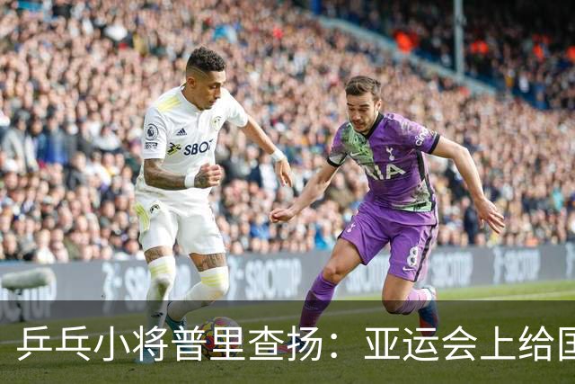 乒乓小将普里查扬：亚运会上给国乒制造的小麻烦