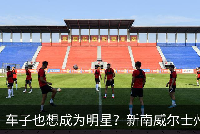 车子也想成为明星？新南威尔士州的“冲撞秀