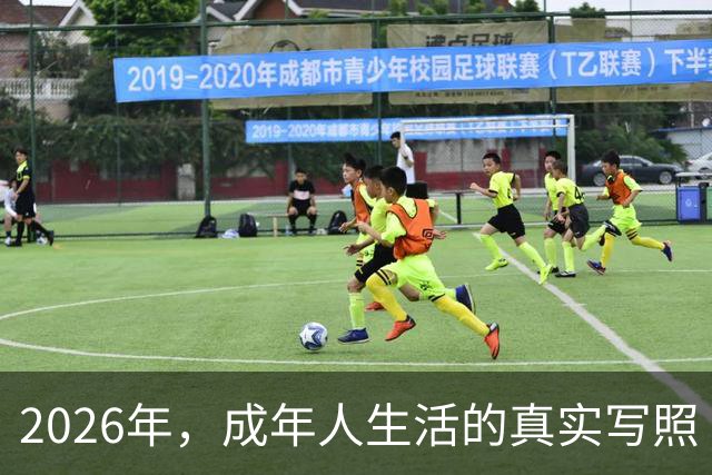 2026年，成年人生活的真实写照